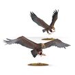Great Eagles