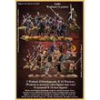 Gallic Starter Warband (4 Points)