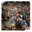Stormcast Eternals: Dracothian Guard