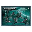 Dark Eldar Hellions D.O.