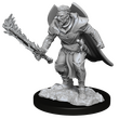 Human Champion Male (Pathfinder)