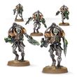 Necrons: Triarch Praetorians