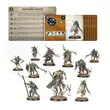 Warcry: Rotmire Creed