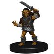 Hobgoblin Warband (Icons of the Realms)