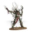 Sylvaneth: Treelord D.O.