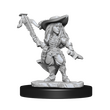 Gnome Female Bard (Pathfinder)