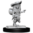 Gnome Female Bard (Pathfinder)