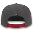 Harry Potter Snapback Cap Gryffindor