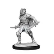 Warforged Rogue (Nolzur)