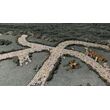 Roads & Rivers - Battle Systems