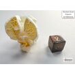 Scarab® Mini-hedral™ Blue Blood™/gold 7-Die Set