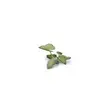 Laser Plants - Elephant Ear