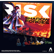 Risk Shadow Forces