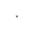 Laser Plants  - Red Aloe