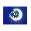 Sailor Moon S.H. Figuarts Action Figure 14cm