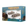 Dwarfen Mountain Holds: Dwarf Ironbreakers