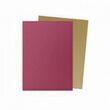 Dragon Shield Dual Red/Gold Special Edition Sleeves