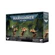 Blood Angels: Sanguinary Guard 2024