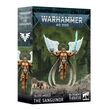 Blood Angels: The Sanguinor