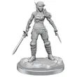 Elf Rogue & Half-Elf Rogue Protege - Nolzur Primed