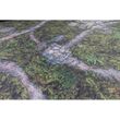 Ancient Green Gaming Mat - 44"'x60"
