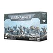 Space Wolves: Grey Hunters