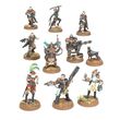 Rogue Trader Entourage & Voidsmen-at-Arms D.O.
