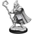 Hobgoblin Wizard & Druid Male - Critical Role