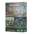 Warhammer Underworlds: Seekers in Shadow Order Warbands