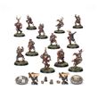 Blood Bowl: Bretonnian Team - The Brionne Barons