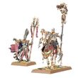 Tomb Kings of Khemri: Liche Priests