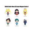 Sailor Moon Magnets Blind Pack Series 1