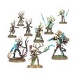 Sylvaneth: The Twisted Branch Regiment of Renown