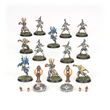 Blood Bowl: High Elf Team - The Caledor Dragons