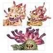 Maggotkin of Nurgle: Beast of Nurgle