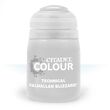 Valhallan Blizzard Technical Texture (24ml)
