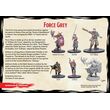 D&D Collector's Series: Force Grey
