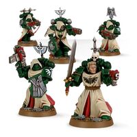 Dark Angels: Company Veterans Squad