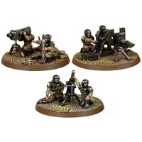 Cadian Heavy Weapon Squad