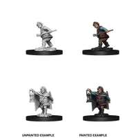Halfling Rogue Male (Nolzur)