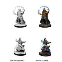 Human Wizard Male (Nolzur)