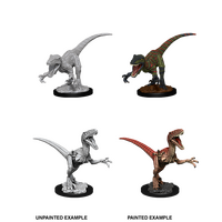 Raptors