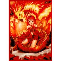 Four pocket Fire Angel portfolio