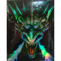 Four pocket Guardian Dragon portfolio