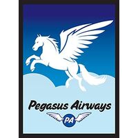LEGION STANDARD SLEEVES PEGASUS AIR