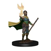 Elf Female Druid - Icons of the Realms