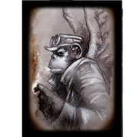 The Monkey General Sleeves
