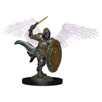 Aasimar Male Paladin Icons