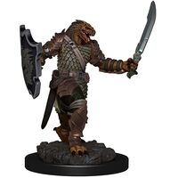 Dragonborn Female Paladin Icons