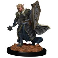Elf Male Cleric Icons